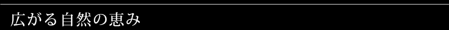 広がる自然の恵み
